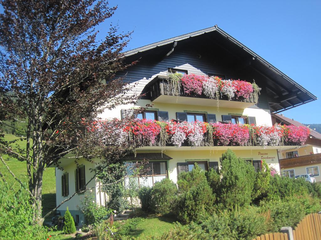 Pension Speckmoser Bad Mitterndorf Exteriör bild