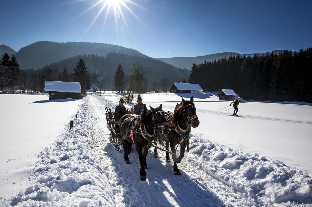 Pension Speckmoser Bad Mitterndorf Exteriör bild