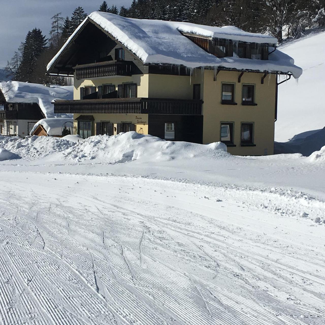 Pension Speckmoser Bad Mitterndorf Exteriör bild